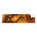 Head of African Lion Bumper Stickers