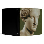 Head of Artemis Vinyl Binder