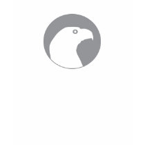 Head of eagle in circle t-shirts