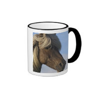 Head of Icelandic horse, Iceland Coffee Mugs