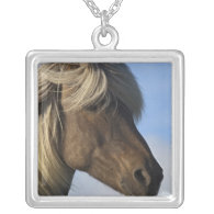 Head of Icelandic horse, Iceland Jewelry