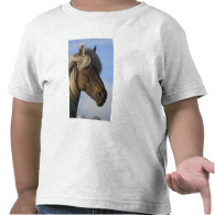 Head of Icelandic horse, Iceland T-shirt