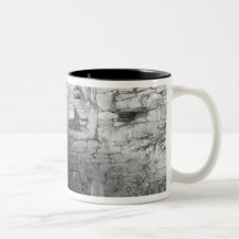 Head of Itzam Na, Izamal, Yucatan, Mexico, 1844 Mugs