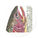 Head of Rainbow Trout Fish Stickers