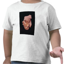 oaxaca shirt