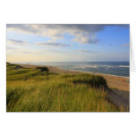 Head of the Meadow Beach Truro Cape Cod Greeting Card
