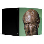 Head of Trajanus Decius from Samisegetuza binders