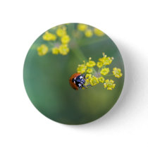 head on ladybug buttons by blacqbook head on ladybug buttons