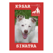 head-SINATRA, KlassKids Search Team K9 Business Card