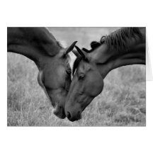 Head To Head Cards