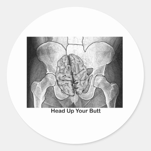 Head Up Your Butt Classic Round Sticker Zazzle