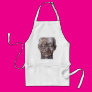 Head Veins and Muscles Aprons Head Veins and Muscles Aprons