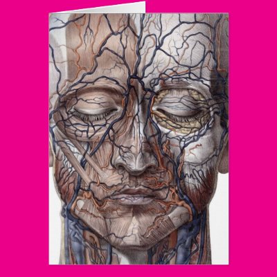 Head Veins and Muscles Greeting Card Zazzle_card