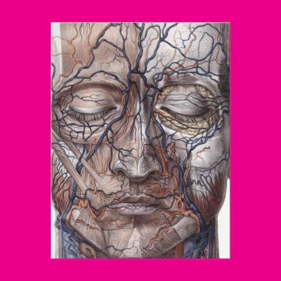 Head Veins and Muscles Postcards Zazzle_postcard