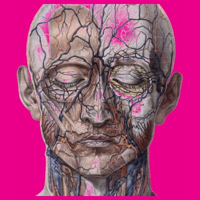 Head Veins and Muscles T Shirts Zazzle_shirt Head Veins and Muscles T Shirts Zazzle_shirt