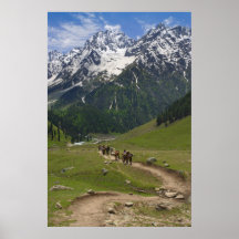 heading towards the himalayas poster