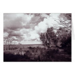 Headlands Beach 1 Card
