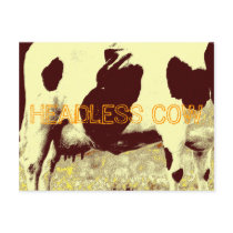HEADLESS COW postcards