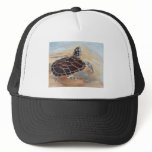 Head's Up Turtle Hat