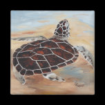Head's Up Turtle Magnet magnets