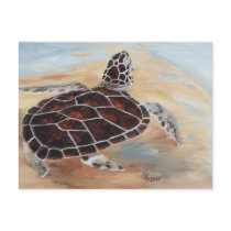 Head's Up Turtle Postcard