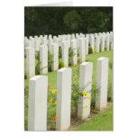 Headstones in a war cemetery greeting cards