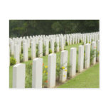 Headstones in a war cemetery postcards