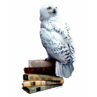 Harry Potter Hedwig
