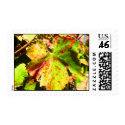 Healdsburg grape leaf postage by NHerger Healdsburg grape leaf postage