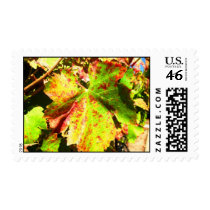 Healdsburg grape leaf stamps
