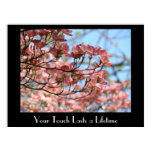 Healing Arts Pink Dogwood Flowers Healthcare Poster