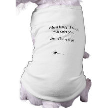 Healing from Surgery...Be Gentle Pet Clothes