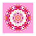 Healing Mandala 9 posters