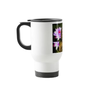 healing mug