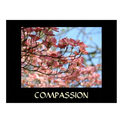 HEALING TOUCH ART gifts COMPASSION Dogwood Flowers posters