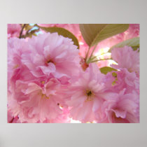 HEALING TOUCH ART Gifts PINK BLOSSOMS Spring Poster