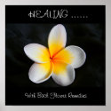 Healing with bach flower remedies posters