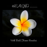 Healing with bach flower remedies posters