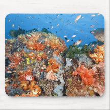 Healthy reef structure, Komodo National Park Mousepads