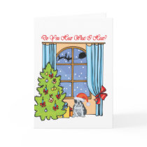 hear boston cards