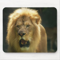 Hear My Roar mousepads