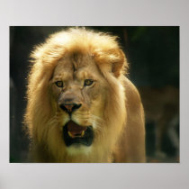 Hear My Roar Print
