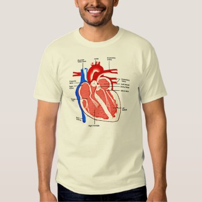 Heart Anatomy Geek Tee Shirt