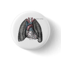 Heart and Lungs buttons by Paper_Airplane Heart and Lungs buttons