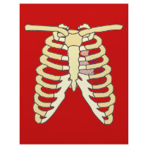 Heart and Ribs Customized Letterhead