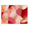 HEART and rose petals cards by partypassion HEART and rose petals cards