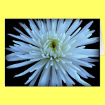 Heart and Soul Greeting Card cards