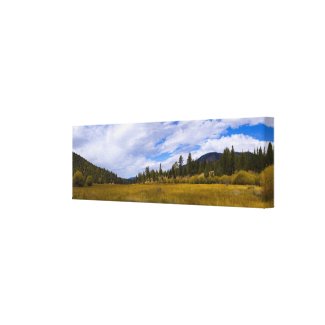 Heart Bar Meadow in Fall Wrapped Canvas wrappedcanvas
