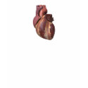 Heart Beat t-shirts