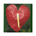 Heart Blossom magnet